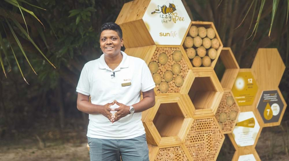 Sunlife Sustainablity - Long Beach - Bee Hives